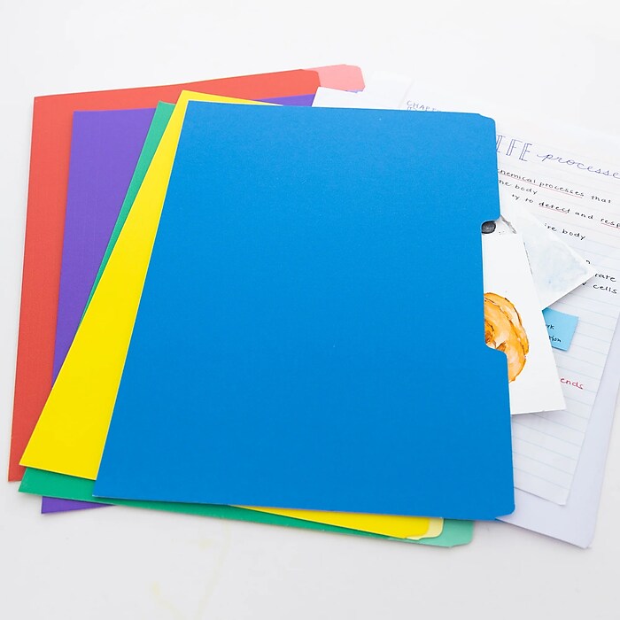 Bazic COLOR File Folders, 1-Tab, Letter/Legal Size, Assorted
