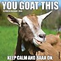 2026 Willow Creek You Goat This 12" x 12" Monthly Wall Calendar (53393)~#|#~CF22E32C-E13D-44AF-86E5444495936ED0_sc7