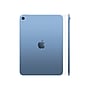 Apple iPad A16 Chip 11" Tablet, 128GB, WiFi, Blue (MD4A4LL/A)~#|#~CF2A5F14-B13F-4ADE-A48A45F0082AF2FF_sc7