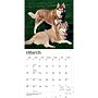 2027 BrownTrout Siberian Huskies 12" x 12" Monthly Wall Calendar (9798330712694)~#|#~CF3F9361-8629-4C77-8C4FF499AA11A6C9_sc7