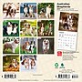 2027 BrownTrout Australian Shepherds 7" x 7" Monthly Wall Calendar, Assorted Colors (9798330709878)~#|#~CF52898E-4E07-4A4E-BB8F508F580FAA37_sc7