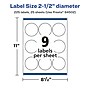 Avery Laser/Inkjet Circle Multipurpose Labels, 2-1/2" Dia., Clear, 225/Pack (94502)~#|#~CF7DCEED-F611-4B1F-A6C83850F11463BC_sc7