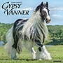 2027 Willow Creek Gypsy Vanner Horse  12" x 12" Monthly Wall Calendar (60599)~#|#~CF900428-1B9E-4057-8A40181803E1B24F_sc7
