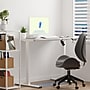 FlexiSpot EC2 40"W Electric Rectangular Adjustable Standing Desk, White (EC2W-4024W)~#|#~CFAC6A8C-68DB-442D-89DBC6F605D1B82D_sc7