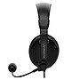 Morpheus 360 Basic Multimedia Stereo Headset  Over Ear Black (HS3000S)~#|#~CFC66639-3F3E-4EC7-8531A980372F3549_sc7