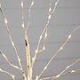 Nearly Natural 2-ft Pre-Lit Artificial White Birch Tree with 60 Warm White LED Lights (T4906)~#|#~CFCED2C2-B092-42F5-B35D23FB7B61CFD1_sc7