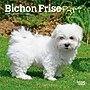 2027 BrownTrout Bichon Frise Puppies 7" x 7" Monthly Wall Calendar, Assorted Colors (9798330709892)~#|#~CFF12456-E973-4B99-8E687B2CA22FC3E4_sc7