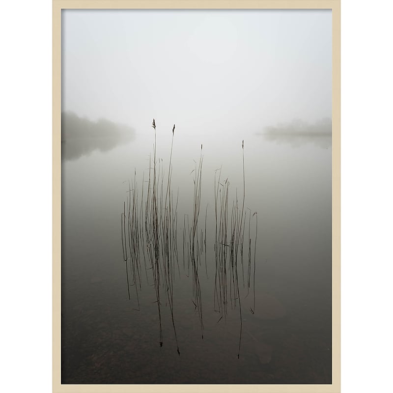 Amanti Art Reeds in the mist by David Ahern Wood Framed Wall Art Print, 30" x 41" (A42677389619) image 1