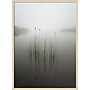Amanti Art Reeds in the mist by David Ahern Wood Framed Wall Art Print, 30" x 41" (A42677389619)~#|#~D00BE114-E539-4538-919F83BE42B21656_sc7
