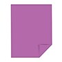 Astrobrights 8.5" x 11" Color Multipurpose Paper, 24 lbs., Planetary Purple, 500 Sheets/Ream, 10/Ream (22671/21678CT)~#|#~D00DE08F-B43B-46A5-AC7C8B4748C3321C_sc7