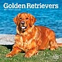 2027 BrownTrout Golden Retrievers 7" x 7" Monthly Wall Calendar, Assorted Colors (9798330714209)~#|#~D014F5C2-6A26-4E21-81C6CF3C6C4788B5_sc7