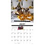 2026 Willow Creek Doug the Pug & Dory 12" x 12" Monthly Wall Calendar (51016)~#|#~D01E8D96-E2D5-4F13-BD84F08F8590CF86_sc7