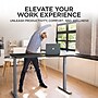 Uncaged Ergonomics Rise Up 24"-49"H Electric Adjustable Height Standing Desk with Black Bamboo Desktop (Rugbk)~#|#~D02B9682-8926-41E2-8C198DD0B1B5297D_sc7