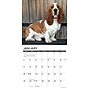 2026 Willow Creek Basset Hounds 12" x 12" Monthly Wall Calendar (50095)~#|#~D02D1B05-A64F-4CBA-B47386AB46699A1E_sc7