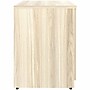 Lorell Essentials Series 29.5" Storage Cabinet With 2‑Doors, Modern Elm (LLR66333)~#|#~D04F9144-FA1F-4AF5-883121C6CD227C98_sc7