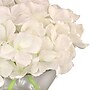 National Tree Company 8" White Hydrangea Bouquet in Glass Vase (MT81-7HYD20GWH)~#|#~D0520942-E92B-4627-9A952550D485C710_sc7
