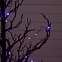 Nearly Natural Pre-Lit Artificial Halloween Black Spooky Twig Tree, 5' (T5236)~#|#~D0629312-A163-43A5-B3E90E734E4084FB_sc7
