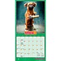 2027 BrownTrout Avanti Dogs Gone Wild 7" x 7" Monthly Wall Calendar, Assorted Colors (9798330712953)~#|#~D0862BD9-FD6E-4142-92DE2A89211952F6_sc7