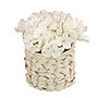 National Tree Company 10" White Hydrangea Bouquet in White Basket (MT81-01326GWH-1)~#|#~D090D55F-6D5E-45B5-ADBA6402A8A7961E_sc7