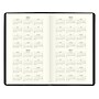 2025-2026 AT-A-GLANCE Recycled 3.5" x 6" Monthly Planner, Faux Leather Cover, Black (70-024G-05-25)~#|#~D09D1023-935D-479D-802BE33A6F88220D_sc7