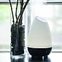 HealthSmart Evaporative Cool Mist Tabletop Humidifier, 500mL, White (40-500-190)~#|#~D0A0F6FD-57EF-4DE5-B693B5CF2EF12FEC_sc7