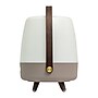 Kooduu Lite Up Play 15.75" LED Speaker Lamp with USB Port, Earth (1201-15)~#|#~D0AB9101-C078-4F8D-AE2A91555328FC8A_sc7