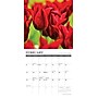 2026 Willow Creek Flowers 7" x 7" Monthly Wall Calendar (53584X)~#|#~D0B21D2D-D7BF-4C0F-A91A7A0F86FCD3F7_sc7