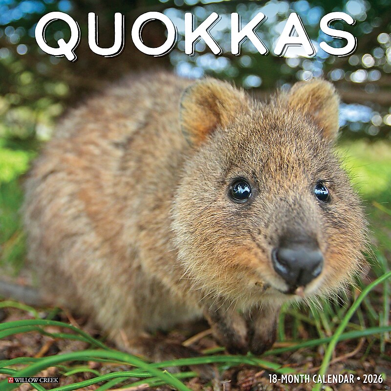 2026 Willow Creek Quokkas 12" x 12" Monthly Wall Calendar (52532) image 1