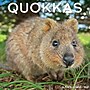 2026 Willow Creek Quokkas 12" x 12" Monthly Wall Calendar (52532)~#|#~D0C32F58-670C-4CF9-84A64D60A1CE3736_sc7