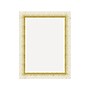 Royal Brites Ultra Brite Gold Confetti Poster Board, 22" x 28", Cardstock, White/Gold, 25/Pack (24759)~#|#~D0C9104C-59CA-4BF5-883C8CEAECF60419_sc7