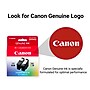 Canon PG-295/CL-286 Black/Tri-Color Standard Yield Ink Cartridge, 2/Pack (7165C004)~#|#~D0E2C526-1927-4E49-BE21918F1B23C4D1_sc7