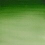 Winsor & Newton Watercolor Paint Tube, Hooker's Green Light (WNX0308314)~#|#~D0E4454B-4299-4C5B-B9C7A3802C4B056C_sc7