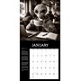 2027 Willow Creek Alien Diaries 12" x 12" Monthly Wall Calendar, Assorted Colors (58688)~#|#~D0F41002-C12D-4320-B9F1A6E70447C791_sc7
