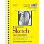 Strathmore 300 Series 5.5" x 8.5" Wire Bound Sketch Pad, 100 Sheets/Book, 3/Bundle (STT35063-3)~#|#~D126B5CA-4B88-49F3-B2773468F0B74394_sc7