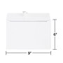 Staples EasyClose Booklet Envelopes, 6" x 9", White, 250/Box (SPL570225)~#|#~D1306923-1F44-4CD3-B9F93BB4438800A3_sc7