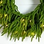Nearly Natural Pre-Lit Artificial Real Touch Norfolk Island Pine Wreath, 20" (W1391)~#|#~D15F583F-66CB-4CEF-B9A8C1BE0EDFBB71_sc7