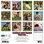 2026 Willow Creek German Shorthaired Pointers 12" x 12" Monthly Wall Calendar (51245)~#|#~D17EB859-A5BA-486A-AECCB35FA2AA0DF4_sc7