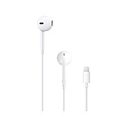 Apple - イース s-l400.jpg