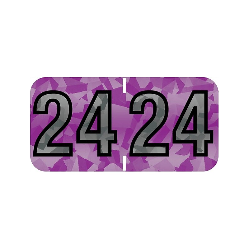 Medical Arts Press Holographic End-Tab Year Labels, 2024, Violet, 500/Roll (0724HV) image 1