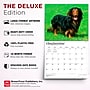 2027 BrownTrout For the Love of Dachshunds 14" x 12" Monthly Wall Calendar, Assorted Colors (9798330709243)~#|#~D1A3F5E8-E2E1-4BF4-A9879D666F912F8B_sc7