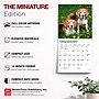 2027 BrownTrout Beagles 7" x 7" Monthly Wall Calendar, Assorted Colors (9798330709885)~#|#~D1AD856F-EE3D-4D28-BB17837E3044E99A_sc7