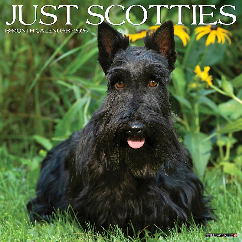 2026 Willow Creek Scotties 12" x 12" Monthly Wall Calendar (52693) image 1