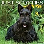 2026 Willow Creek Scotties 12" x 12" Monthly Wall Calendar (52693)~#|#~D1B3B24E-8C6F-48CE-B95612656C74D342_sc7