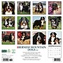 2026 Willow Creek Bernese Mountain Dogs 12" x 12" Monthly Wall Calendar (50187)~#|#~D1BE9FB4-99FF-4F3A-9EAF9FF06D576ED6_sc7
