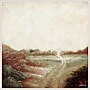 Amanti Art Ethereal Field by Michael Marcon Framed Canvas Wall Art Print, 30" x 30" (A42678300067)~#|#~D1EB8C50-1418-40AF-BFD0A05F405A00AC_sc7