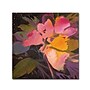 Trademark Sheila Golden "Star Garden" Gallery-Wrapped Canvas Art, 18" x 18"~#|#~D202E40B-E403-467E-B8C31DA618BEB056_sc7