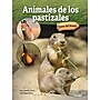 Carson-Dellosa Bridges Animales de los pastizales, Hardcover (CD-9781731654656)~#|#~D203B999-4D23-40BD-93537BF5C1324F01_sc7