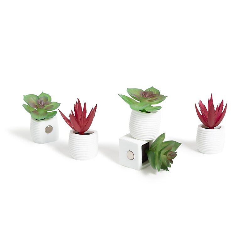 U Brands Mini Fashion Small Magnet Set, Green Succulents, 12/Pack (4943U06-24) image 1