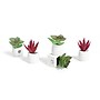 U Brands Mini Fashion Small Magnet Set, Green Succulents, 12/Pack (4943U06-24)~#|#~D205B988-26B1-48DB-ACB6407FA092F25E_sc7