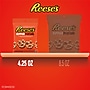 Reese's Dipped Peanut Butter Pretzels, 4.25 oz., 4/Pack (246-00288)~#|#~D21A06BE-3A13-46ED-96ED38EF769E8BC6_sc7